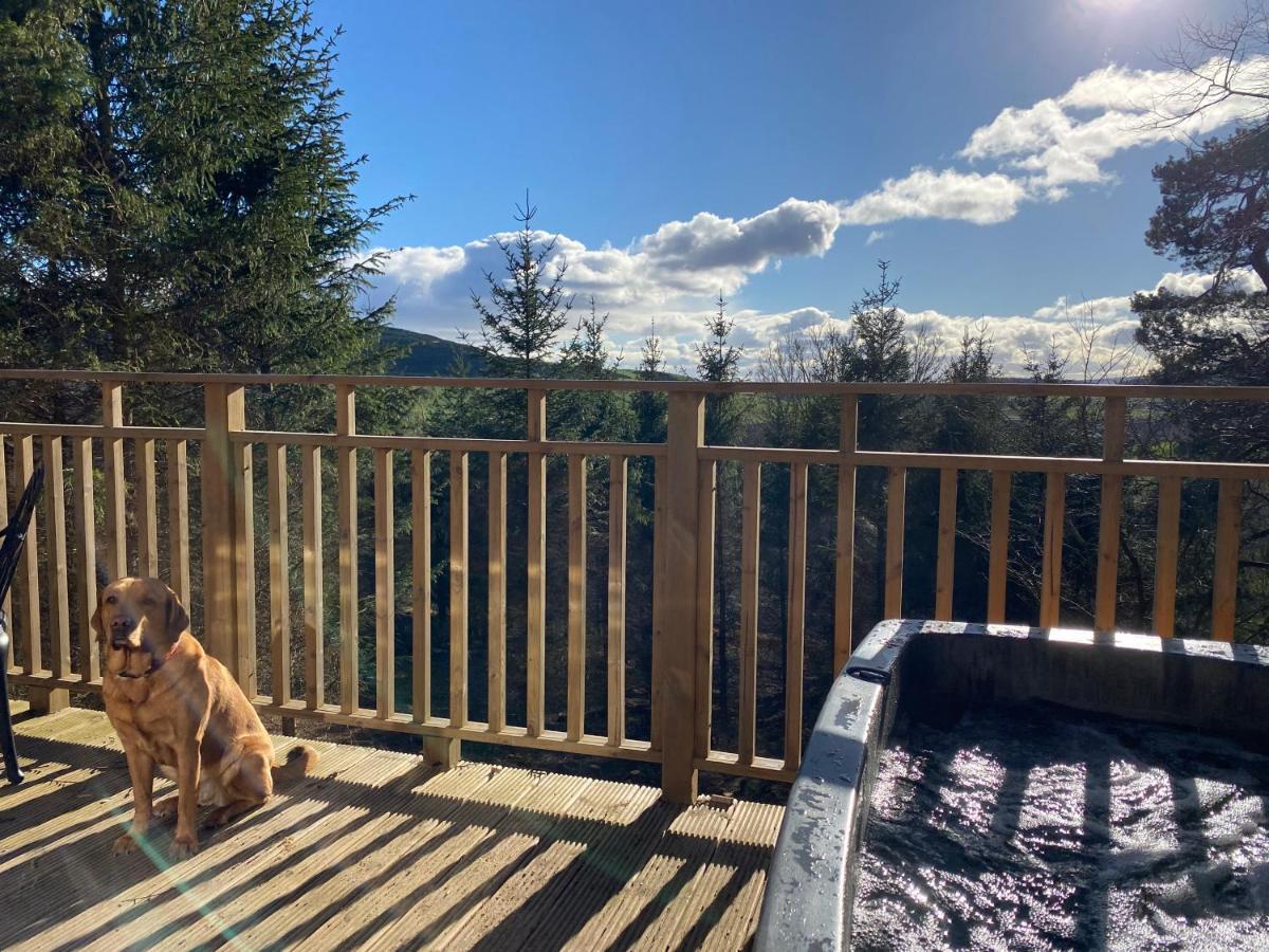 Acorn Lodge With Hot Tub Cupar Bagian luar foto